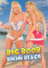 Big Boob Bikini Beach Porn Video