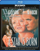 Star Is Born, A